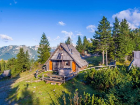 Chalet Encijan - Velika planina